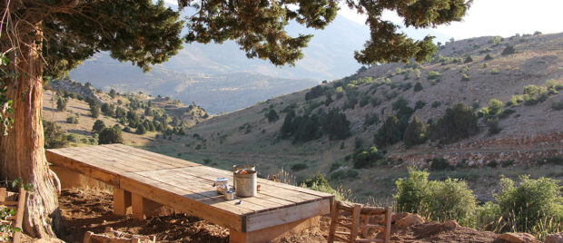 An Uncomfortable Table_