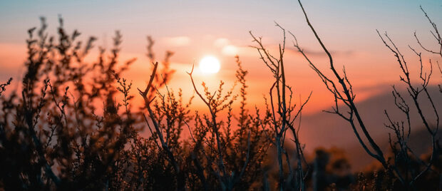 The Necessity of Christ's Resurrection