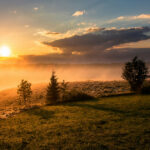 Subjecting All Things to Christ