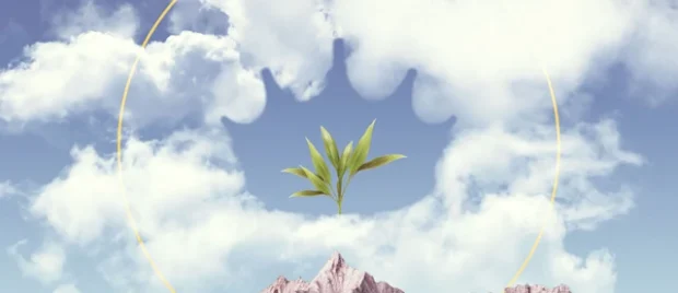 5 Things You Should Know About Heaven